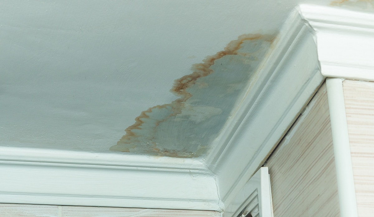 Water leak stain spreading across a ceiling after a storm
