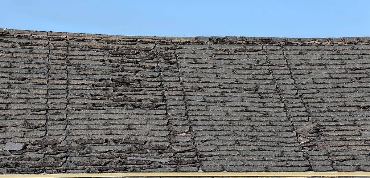 Asphalt shingle roof showing hail impact marks and granule loss