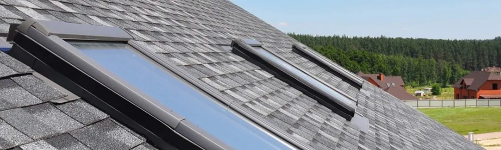 Roof with skylights