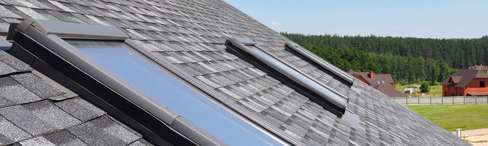 Roof with skylights