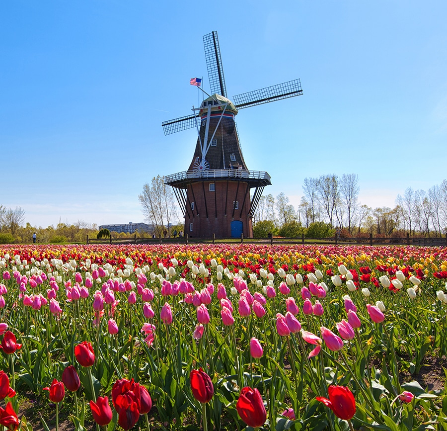 Holland Michigan Windmill